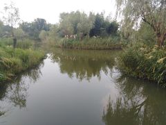 -梁鸿国家湿地公园