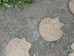-野象谷景区