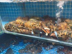 -良师门滨海人家·海鲜·家常菜(滨海城店)