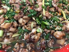 -东吴霸王兔(松青路店)