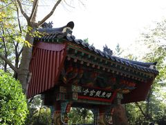 -海东龙宫寺