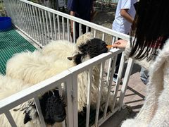 -水上乐园·欢乐世界