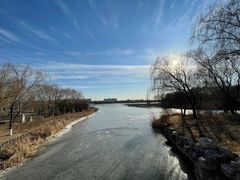 -大兴滨河森林公园