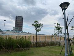 -鹦鹉洲湿地公园