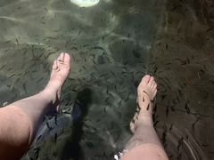 -凤翔首邑温泉度假村