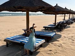 -海南清水湾莱佛士酒店