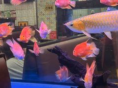 -新辉港式茶餐厅(北栅店)