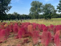 -汉长安城未央宫国家考古遗址公园