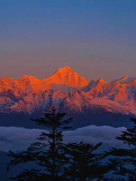 王岗坪景区海拔图片