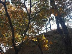 android_upload_pic-十三陵水库