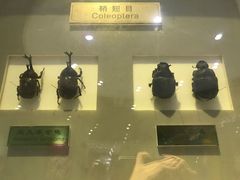 -上海昆虫博物馆