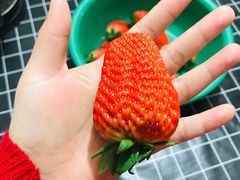 -胡家庙水果批发市场