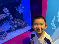 -海合安成都极地海洋公园