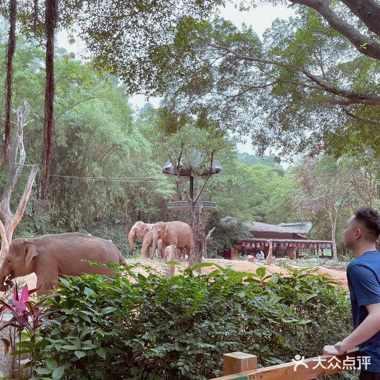 📷🐼长🐒隆🐅野生动物园🦓🐫🦒这么玩才刺激📣
