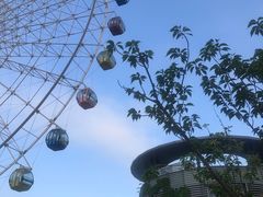 -琴岛之星摩天轮