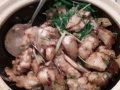 砂锅龙趸鱼-陶陶居海鲜酒家(新马路店)