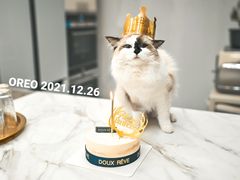 -杜哈夫DOUX RÊVE·生日蛋糕(日月光店)