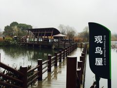 -长兴太湖图影湿地文化园