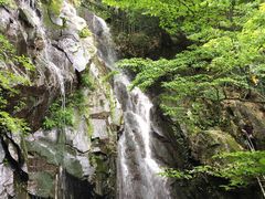 -藏龙百瀑风景区