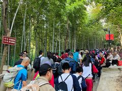 -灵岩山风景区