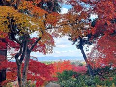 -常寂光寺