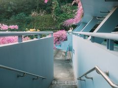 -深圳仙湖植物园-停车场