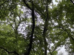 -句容茅山景区