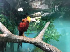 -福州罗源湾海洋世界旅游区