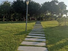 -深圳湾公园(南山区)