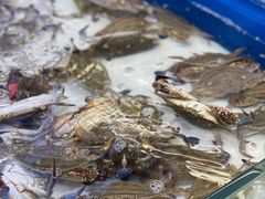 -川骄海鲜自助(河东店)