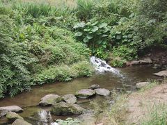 -重庆彩云湖湿地公园