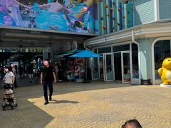 -海合安成都极地海洋公园