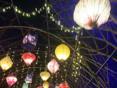 -花博汇(知音花月夜)