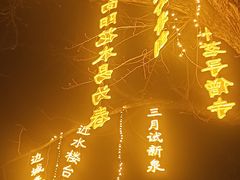 -万泉公园