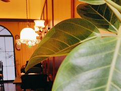 -盛元荼集  素食(滨江凯德壹店)