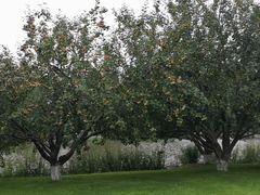 -春晖园度假酒店温泉