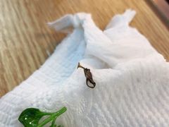 -冯鑫记南京鸭血粉丝汤(南京南站店)