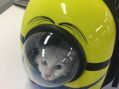 -达爱动物医院·犬猫分区·CT·复杂眼科(远洋山水分院)