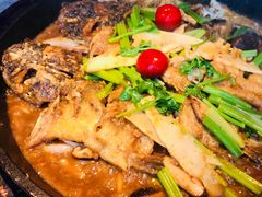 -老板恋上鱼(恒隆广场店)