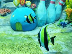 -合肥海洋世界