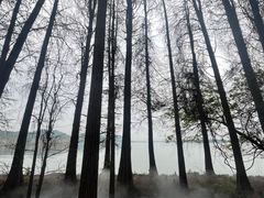 -东湖落雁景区