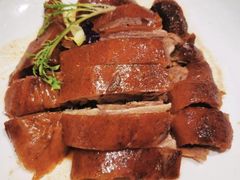 -椿记烧鹅(叠彩店)