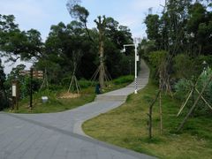 -金鸡山公园