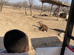 -西安秦岭野生动物园