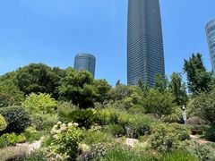 -北外滩滨江绿地