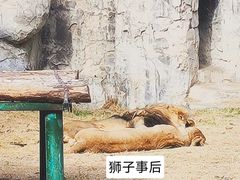 -郑州市动物园