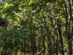 -昆山城市生态森林公园