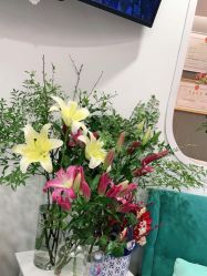 -联合丽格·张菡丽格医疗美容