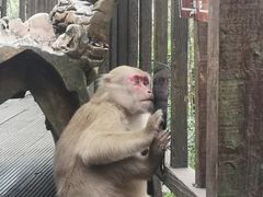 -普洱太阳河森林公园