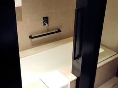 -新加坡瑞士史丹福酒店